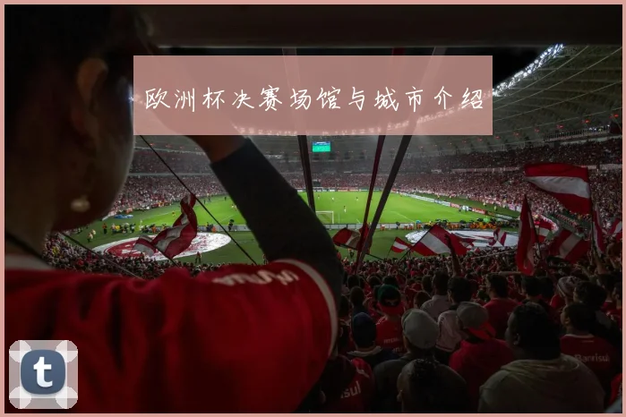 欧洲杯决赛场馆与城市介绍